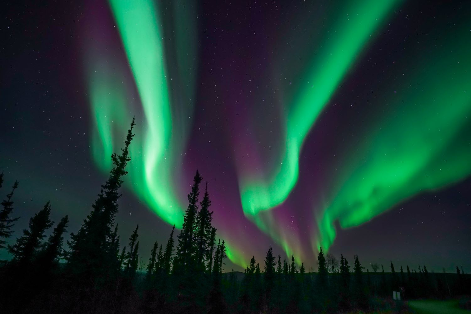 The Northern Lights in Alaska: How to See Them in 2023 - Denali Post